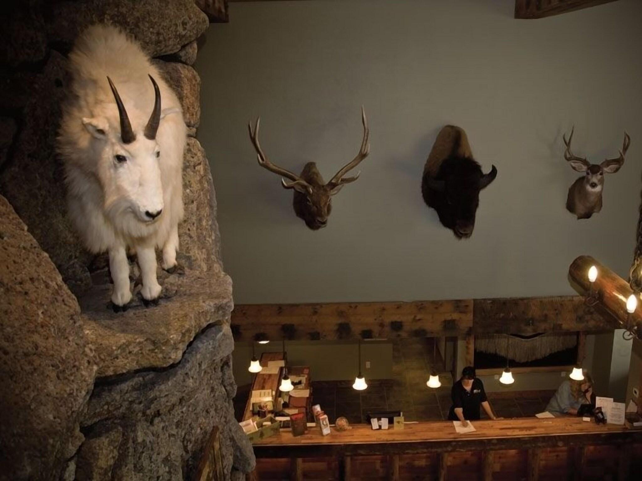 Three Bear Lodge 18/21