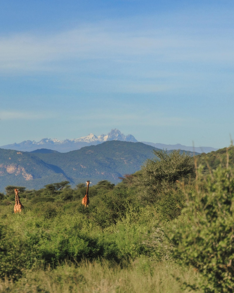 Samburu Intrepids Tented Camp 42/49