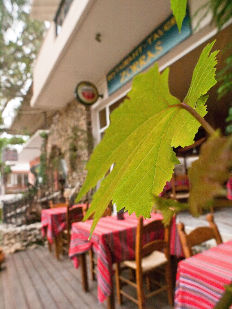 Zorbas Lifestyle 49/49