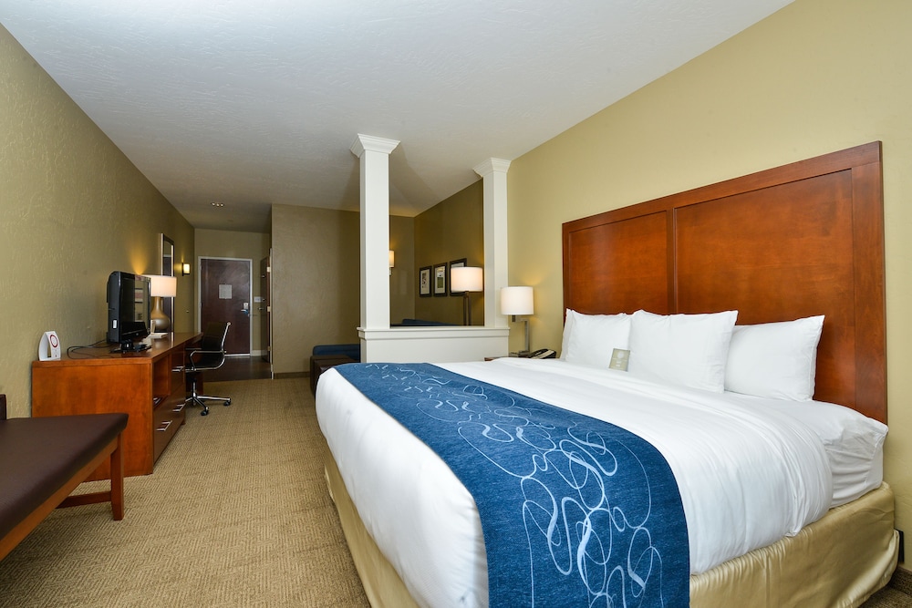 Suite, King Bed, Sofa