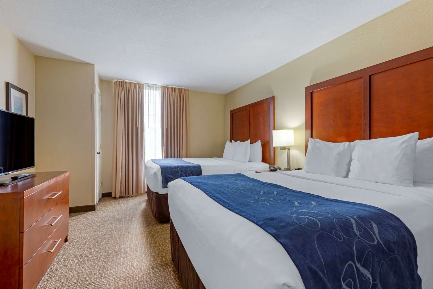 جناح بسريرين كوين، Comfort Suites Fredericksburg South 2/3