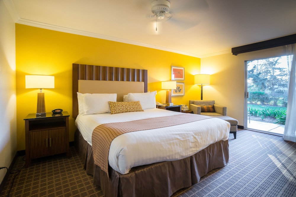 Half Moon Bay Lodge 26/59