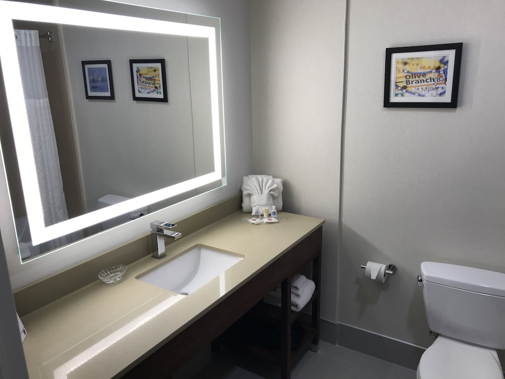 Comfort Suites Olive Branch - Memphis South 28/43