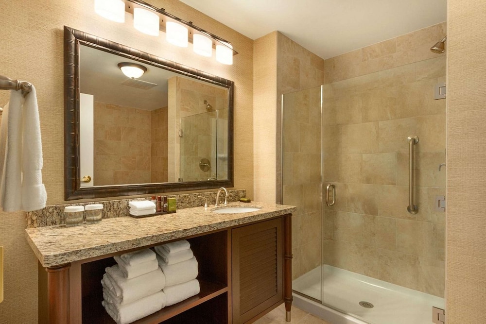 جناح بسرير كينج بغرفتي نوم، Embassy Suites by Hilton Savannah Historic District 6/7
