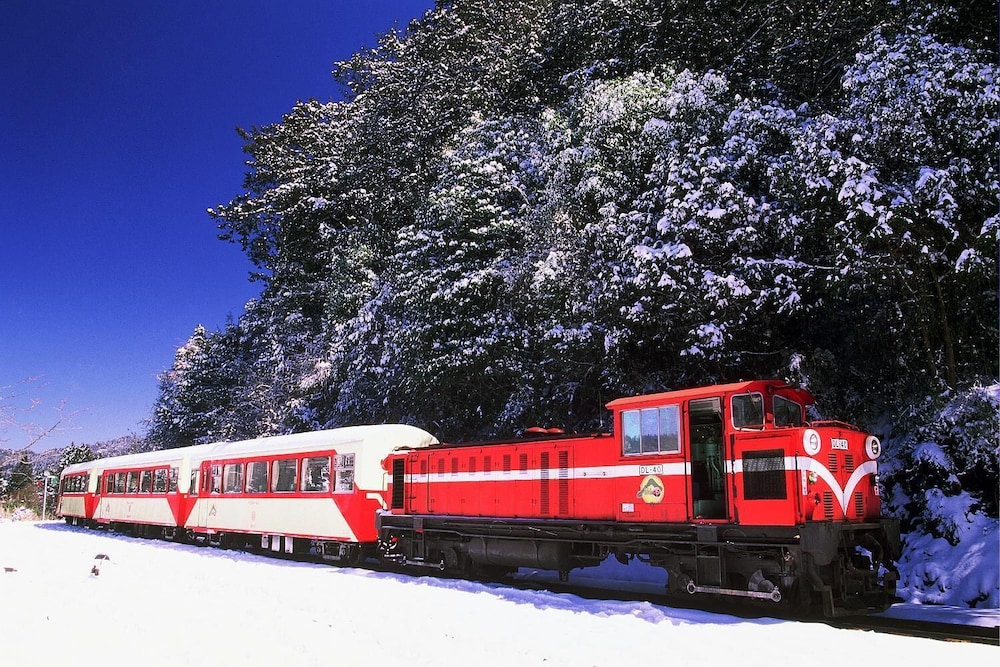 Alishan Shermuh International Tourist Hotel 2/27