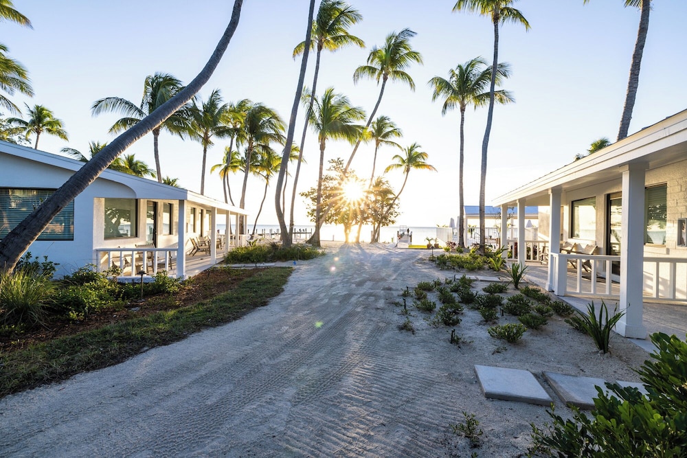 Pines Palms Resort 40/73