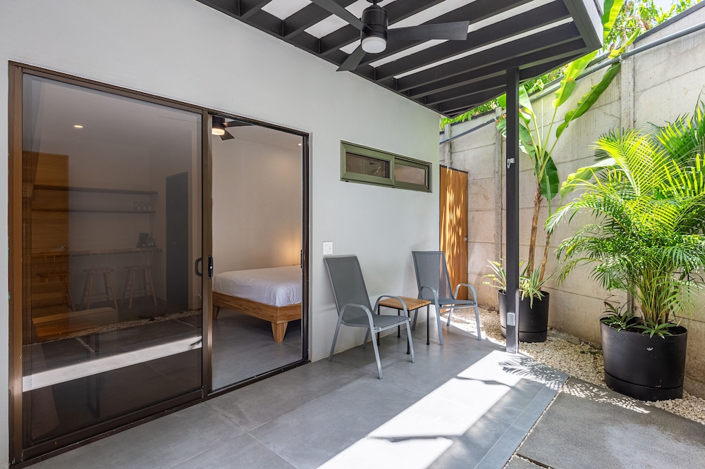 Ventura Santa Teresa 3/50