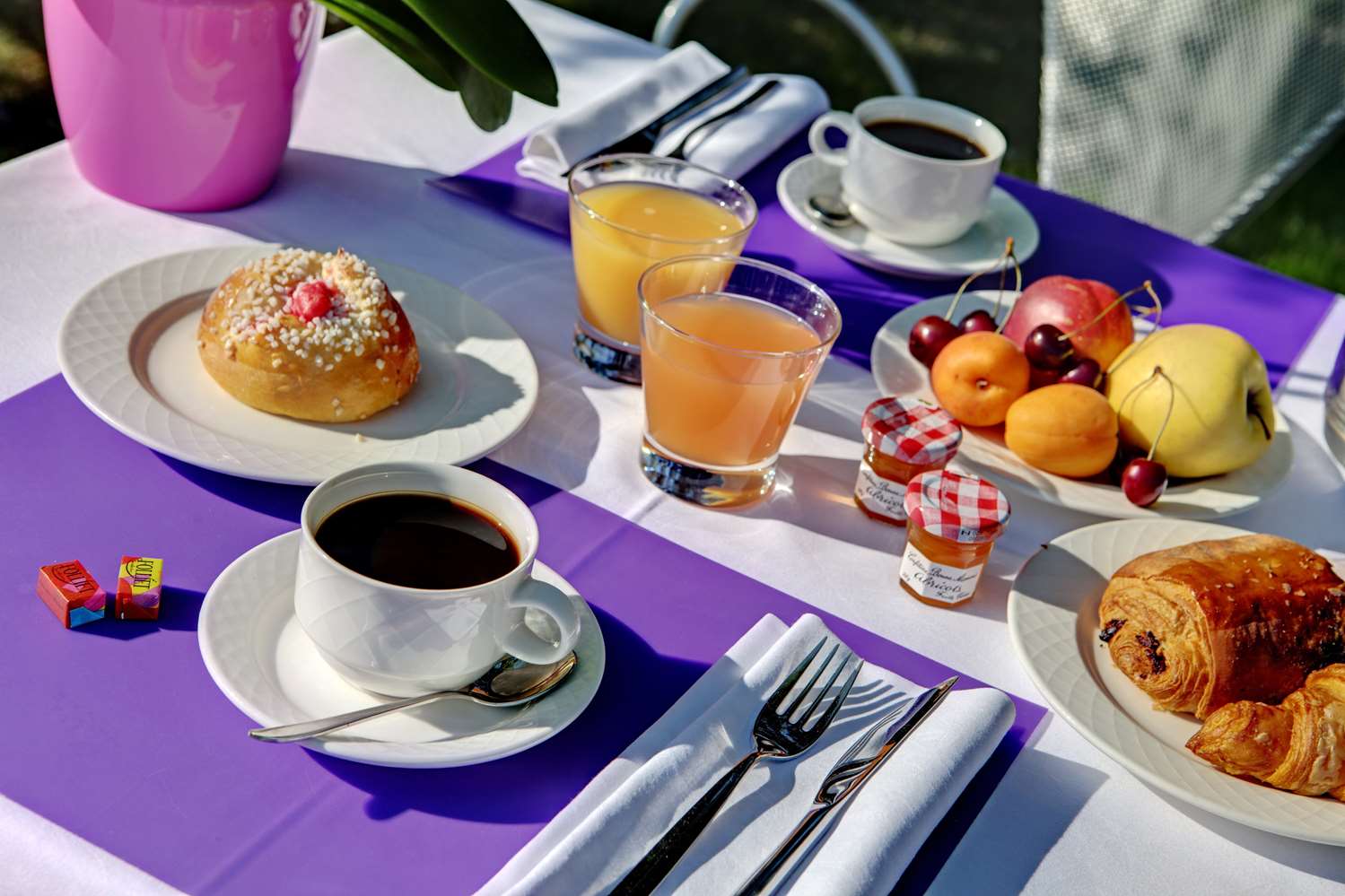 Hotel Alexander Park Chambery 33/43