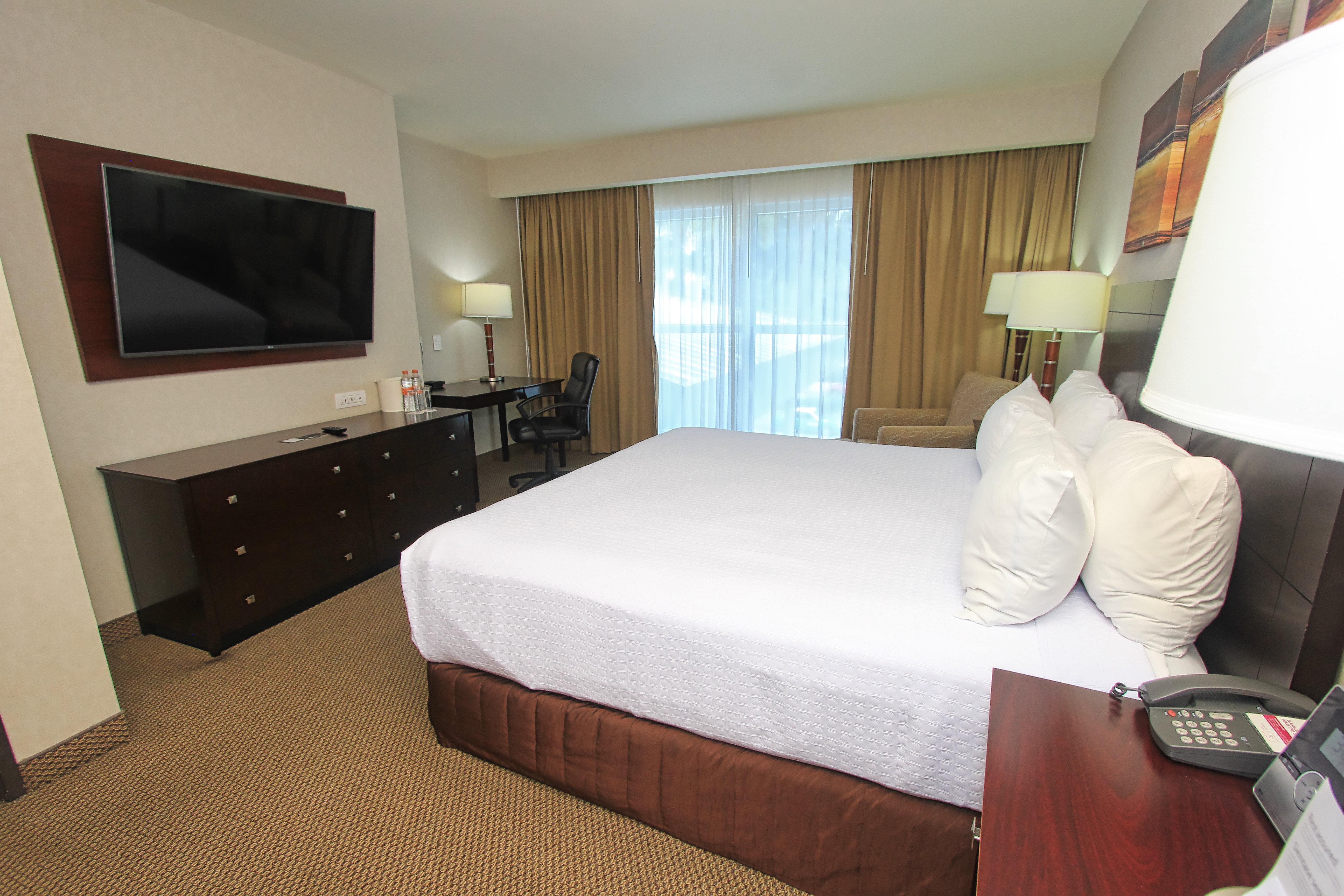 Crowne Plaza Leon 14/50