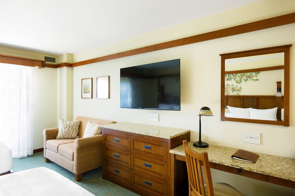 Disney Grand Californian 45/70