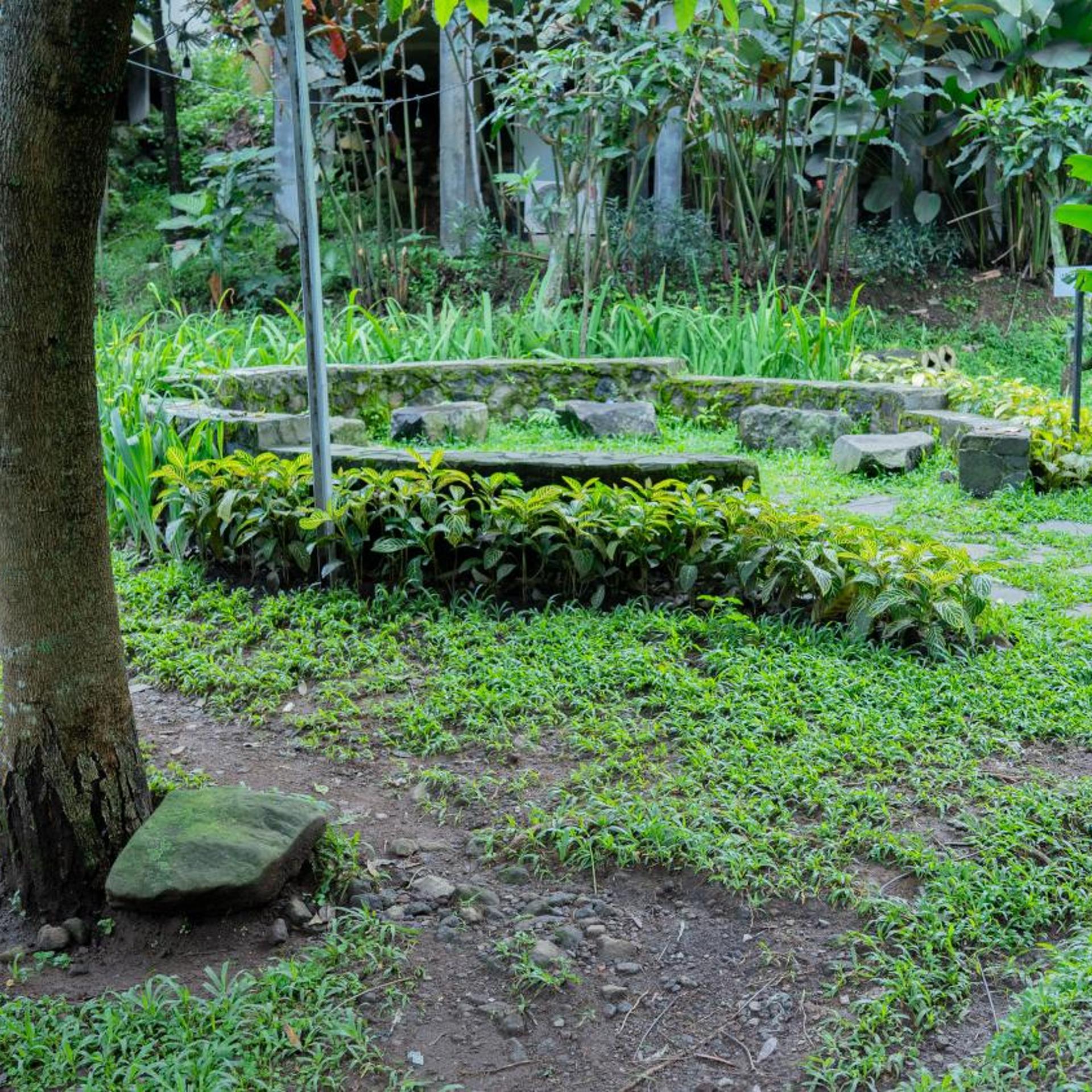 Leuweung Geledegan Ecolodge 46/51