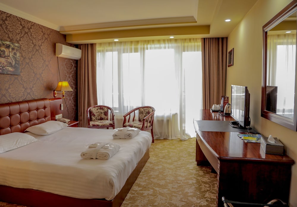 Borjomi Palace Hotel and Spa 11/50