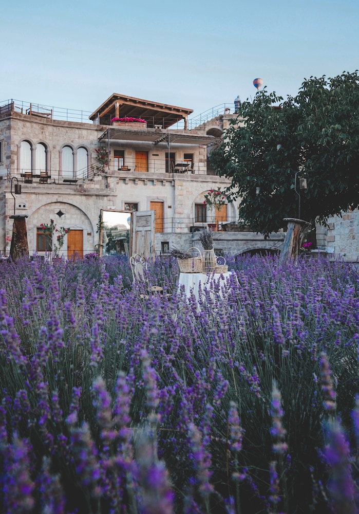 Design Cappadocia Hotel 5/49