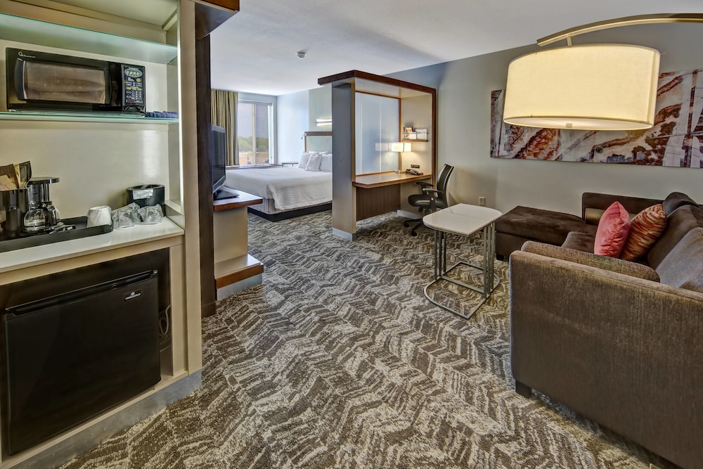 SpringHill Suites by Marriott Oklahoma City Moore 23/32