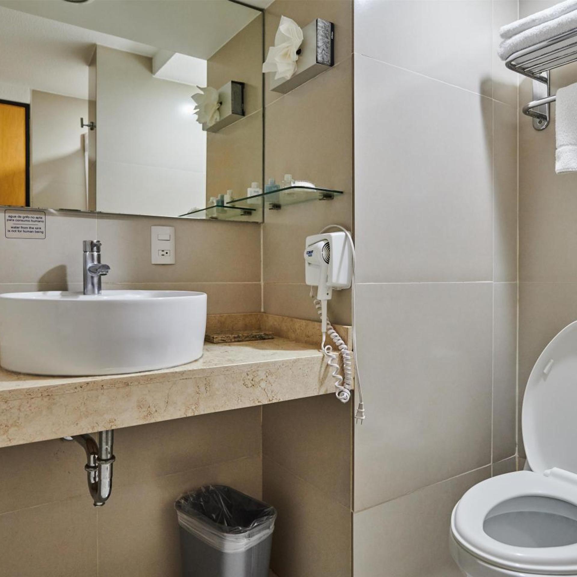 غرفة قياسية بسريرين مزدوجين، Best Western Plus Gran Hotel Centro Historico 7/9