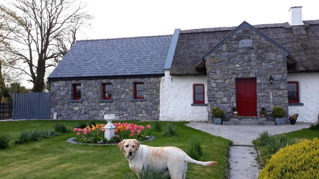 The Thatched Cottage B&B 23/25