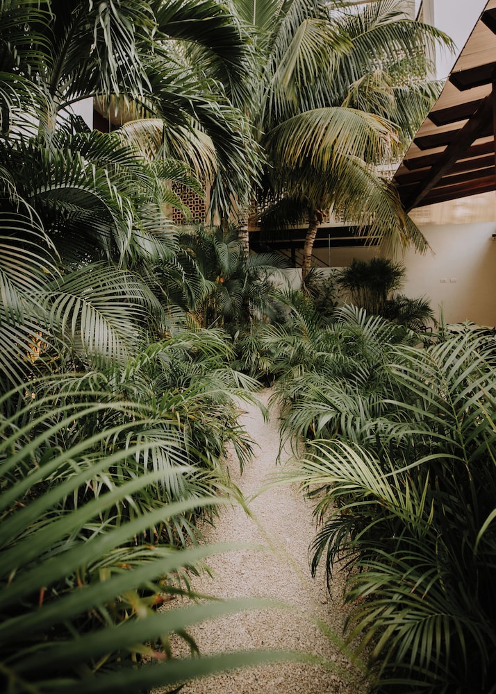 The Strabon Tulum 81/86