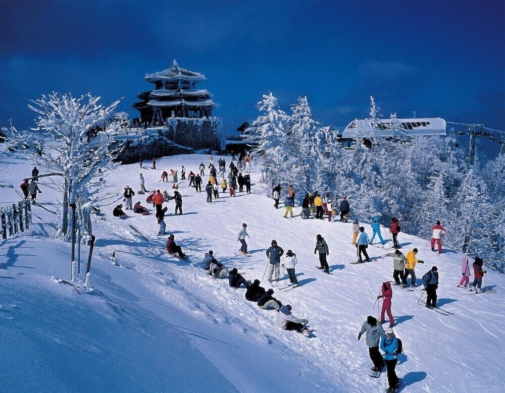Muju Cherish Pension 45/50