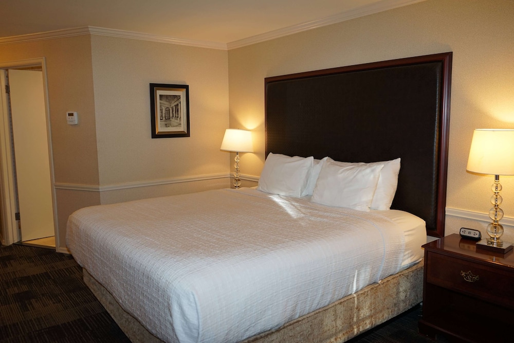 Efficiency, King Bed 2/3