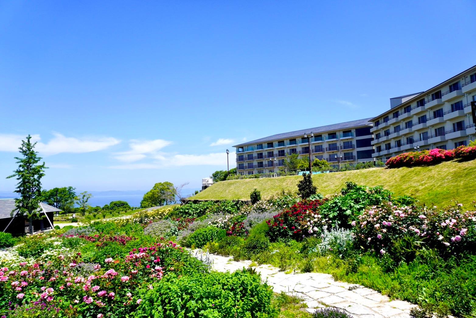 Suite, Twin Beds, Sea View, Executive Level, Corner