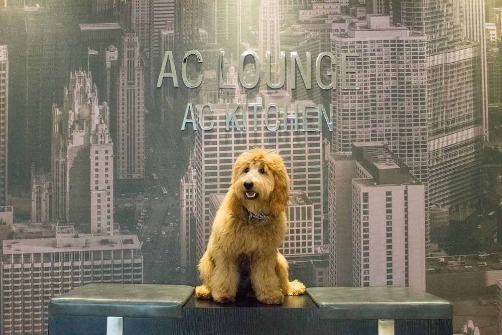 Ac Hotel Chicago Downtown 21/54