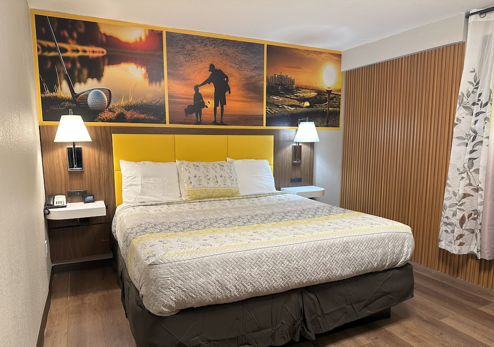 Basic, Single, King Bed