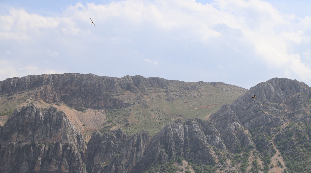 HOTEL EUPHRAT NEMRUT 27/39