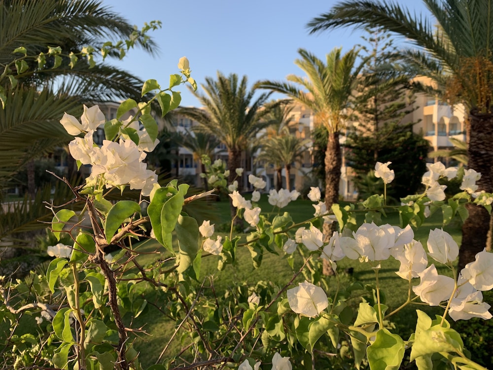 Hasdrubal Thalassa and Spa Yasmine Hammamet 47/50