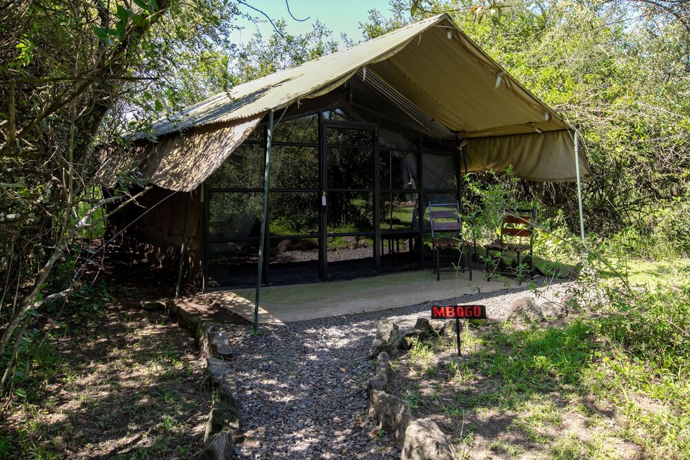 Punda Milias Camp Nakuru 5/50