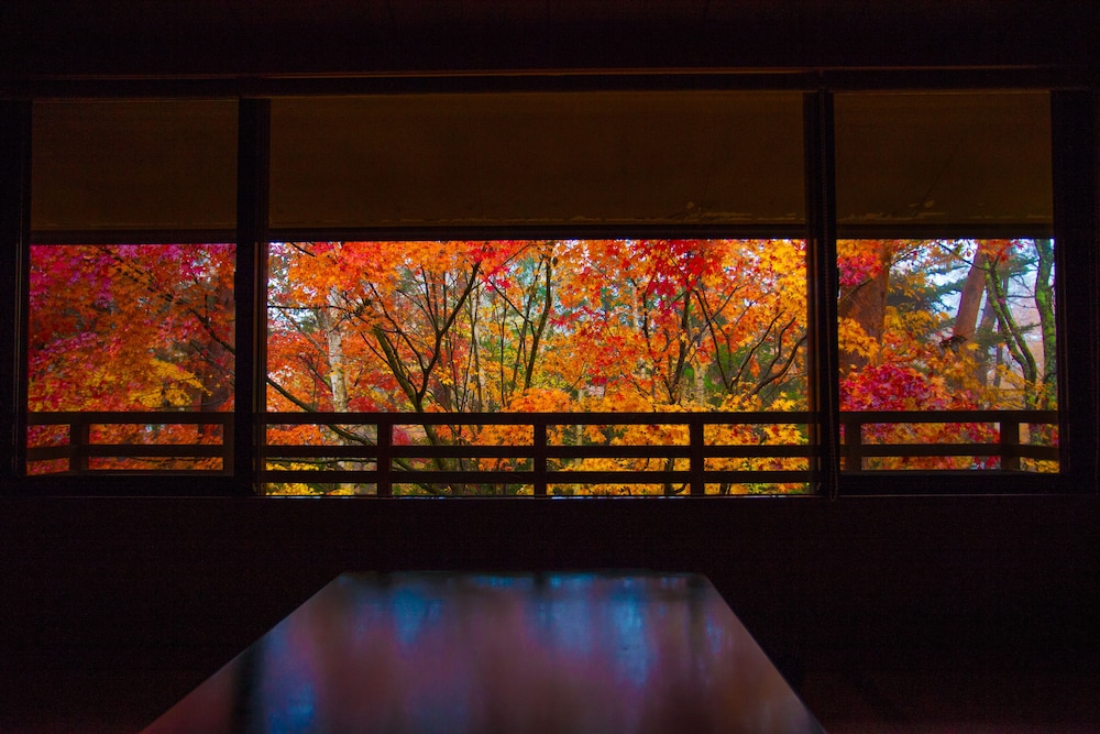 Tateshina Park Hotel (ex. Tateshina Ai) 57/69