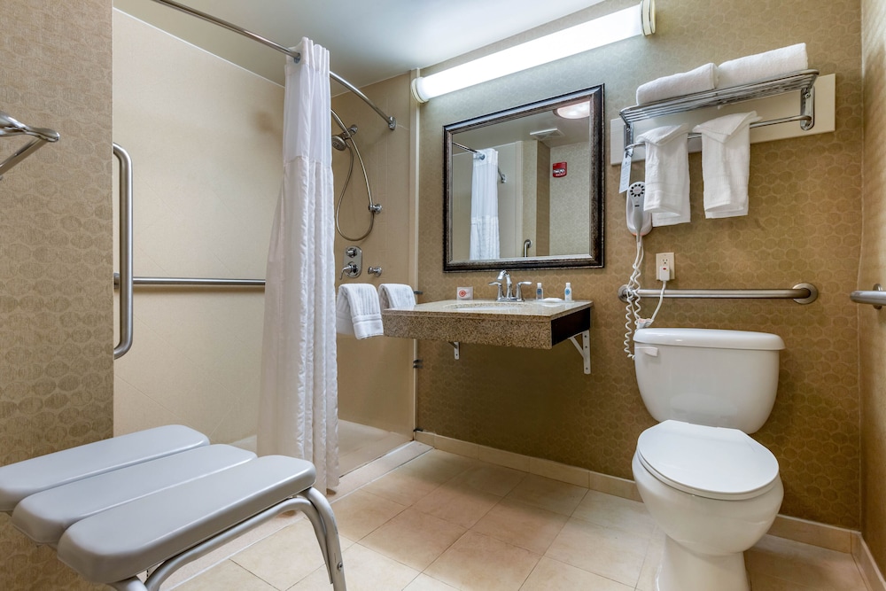 Comfort Inn Warner Robbins 13/21