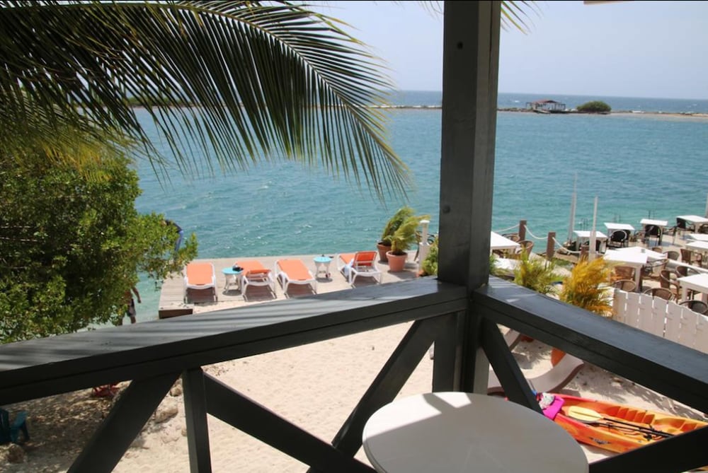 Coral Reef Beach Aruba 43/50