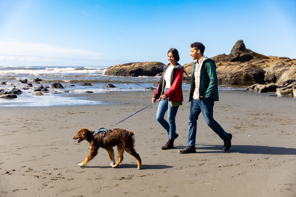 Kalaloch Lodge 20/41