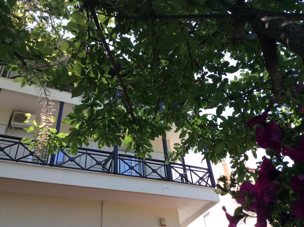 Morfeas Hotel 3/50