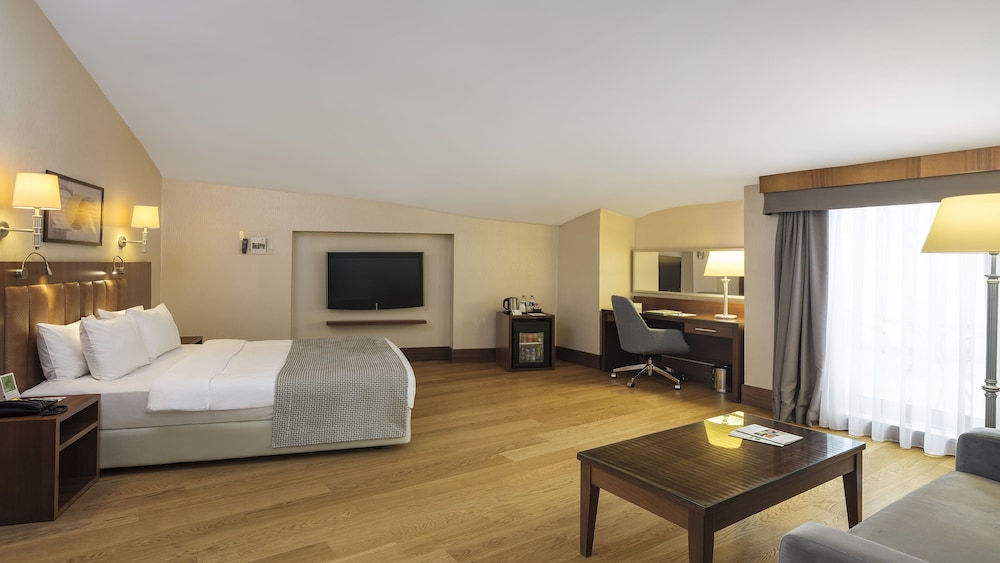 Holiday Inn Istanbul Old City 14/79