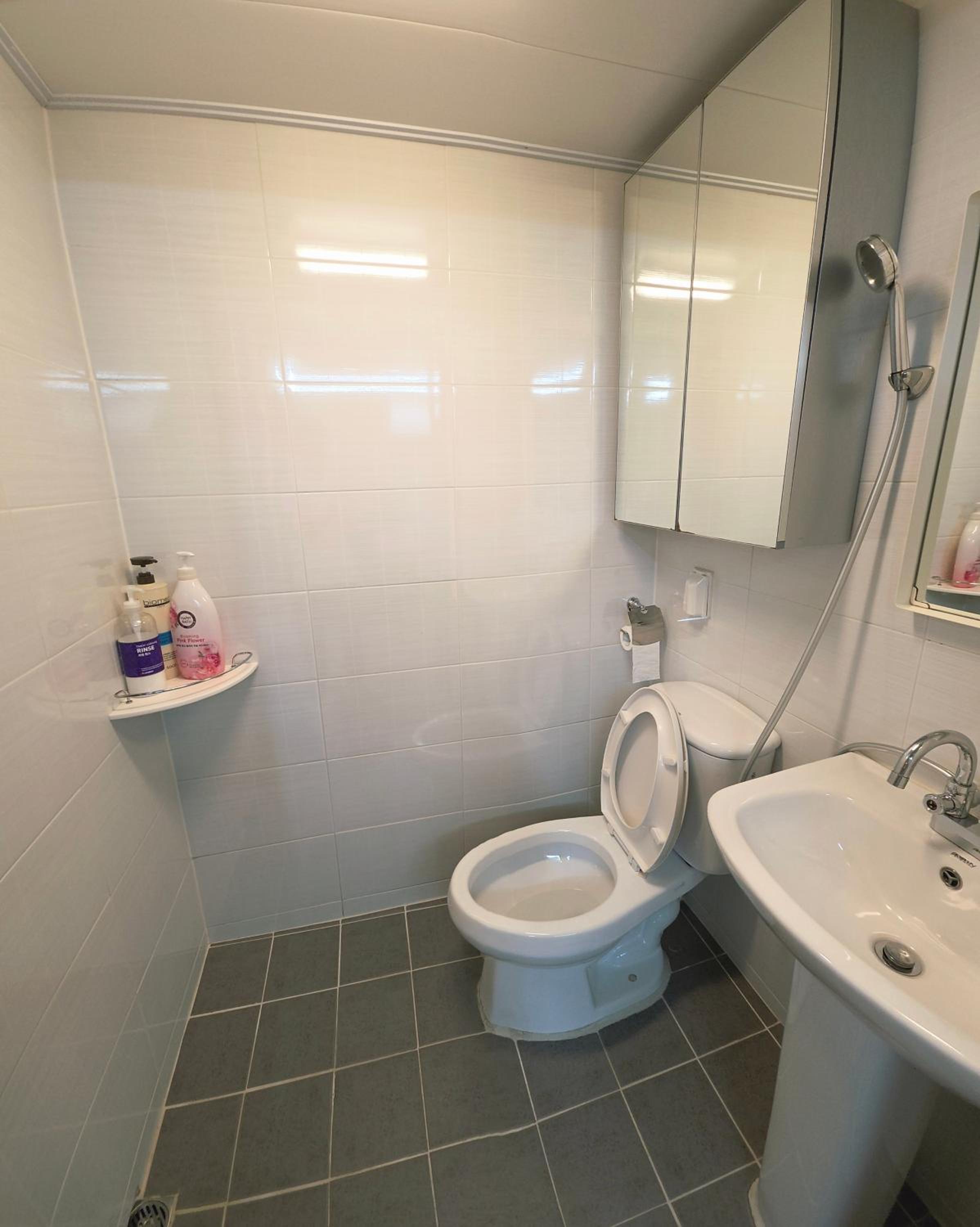 Semi Basement, Twin Beds