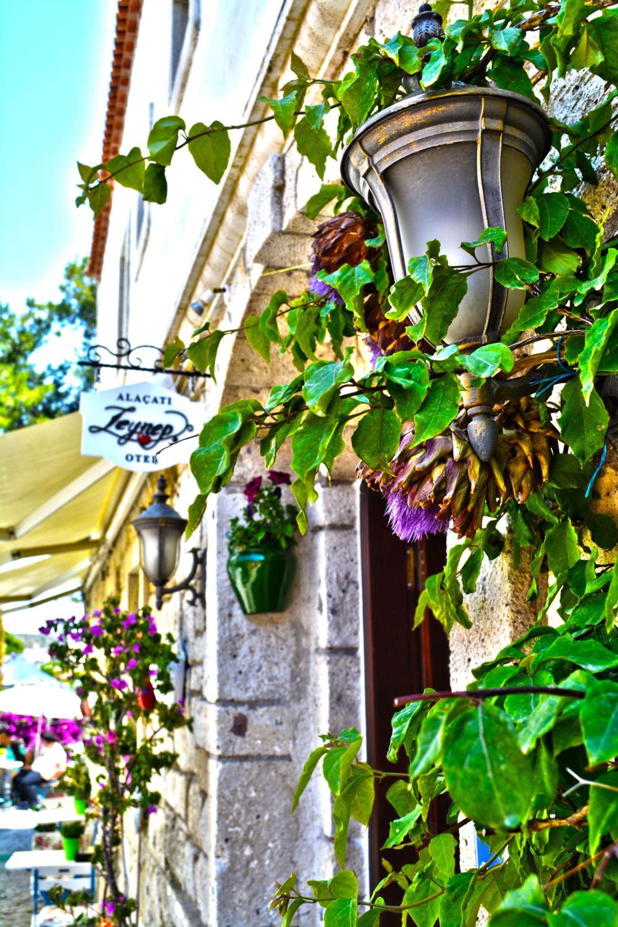 Alacati Zeynep 3/16