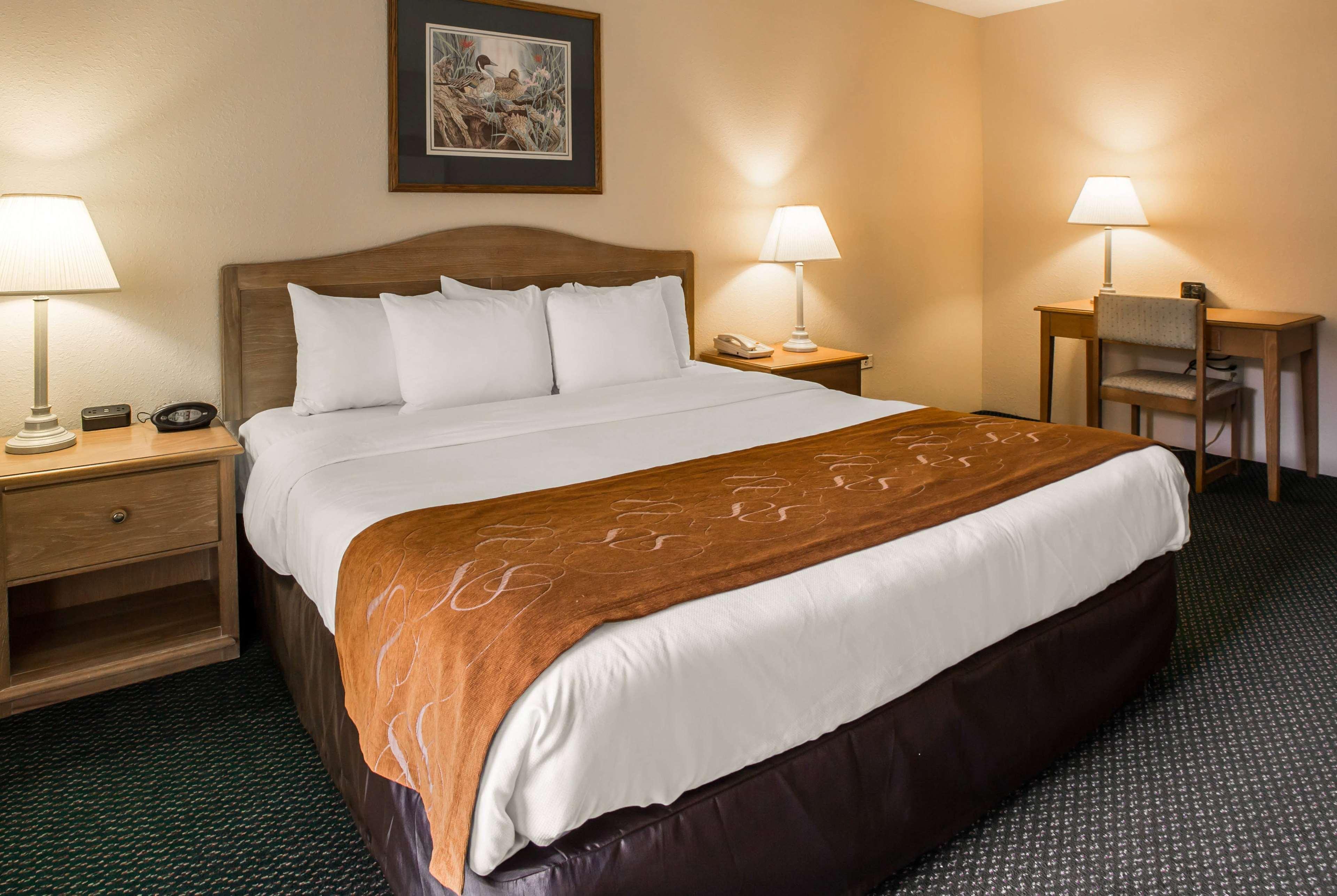 Deluxe, King Bed