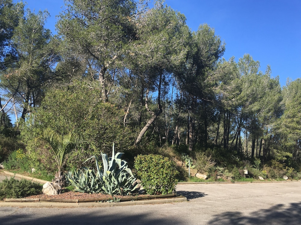surroundings