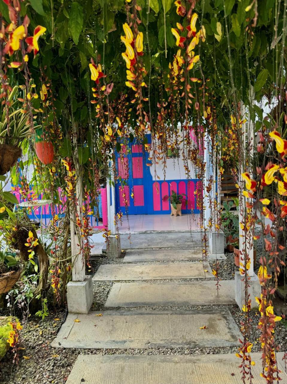 Hotel El Jardin 40/50