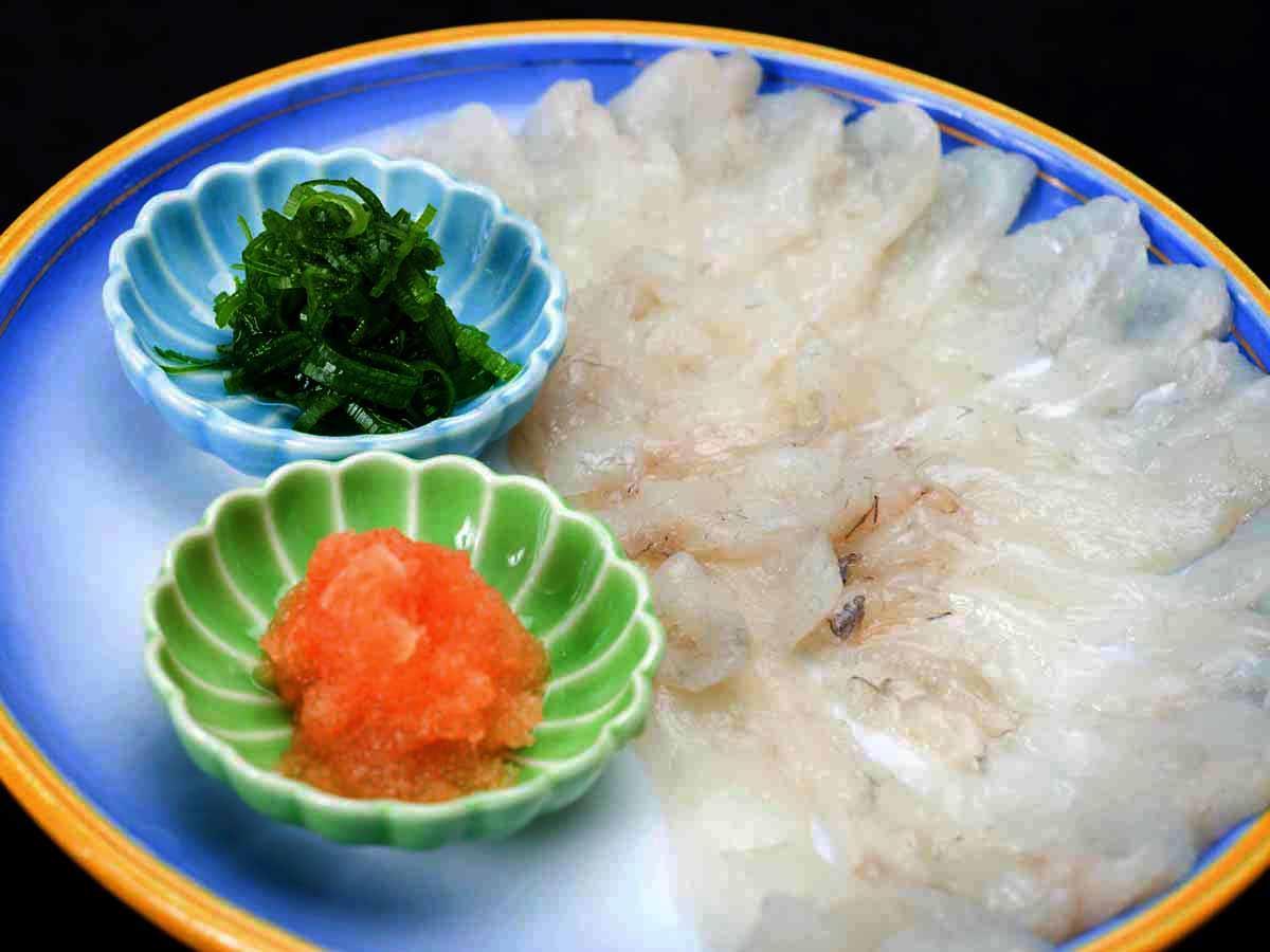 Shima 13/31