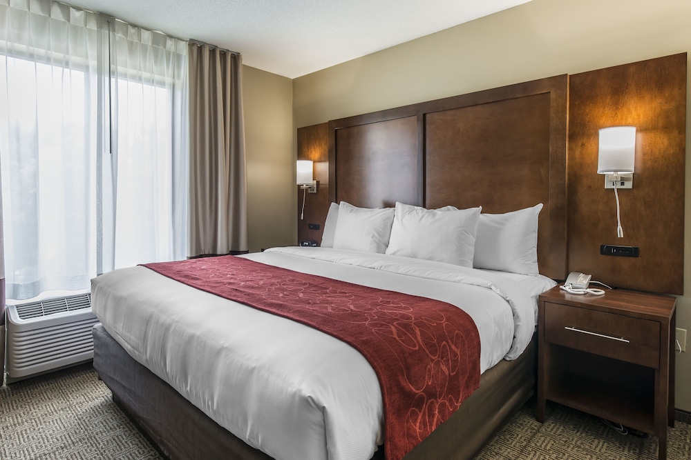 Comfort Suites Dunnellon near Rainbow Springs 11/40