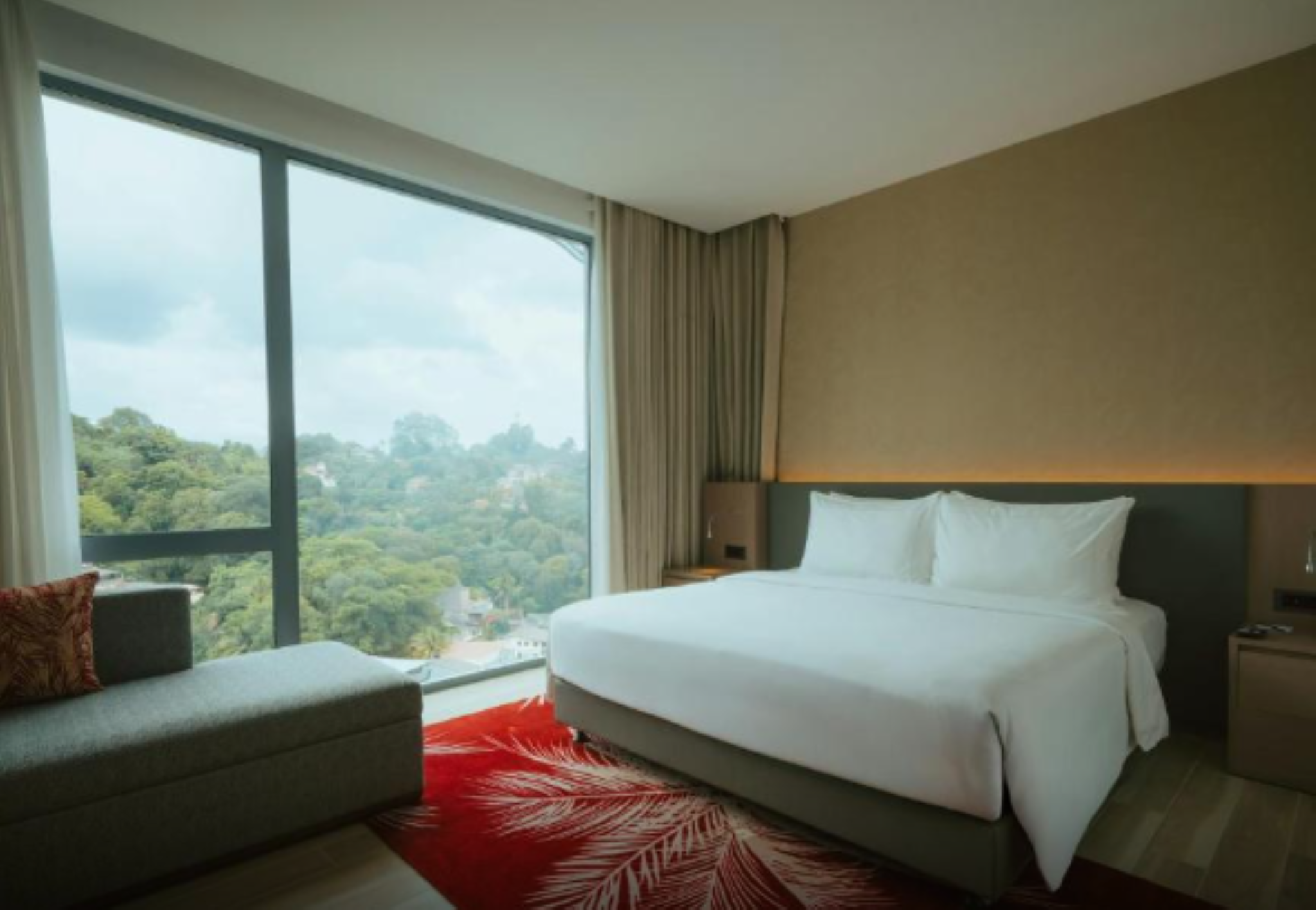 Superior Room: Single