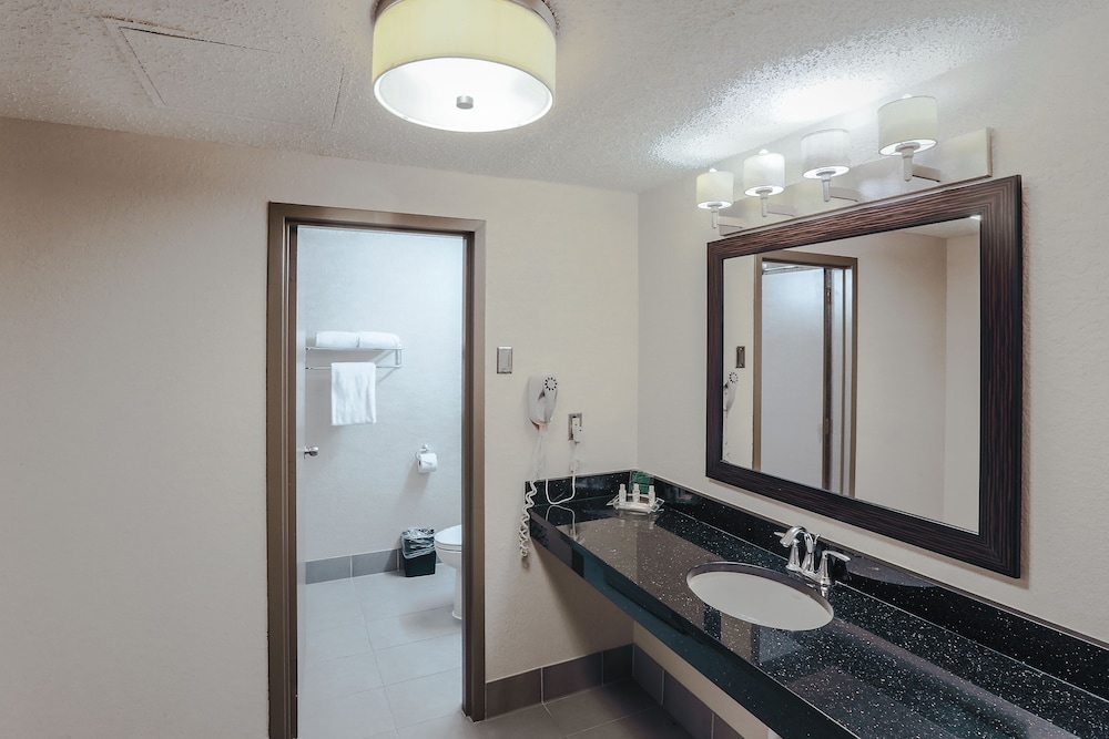 HOLIDAY INN AUSTIN MIDTOWN 21/78