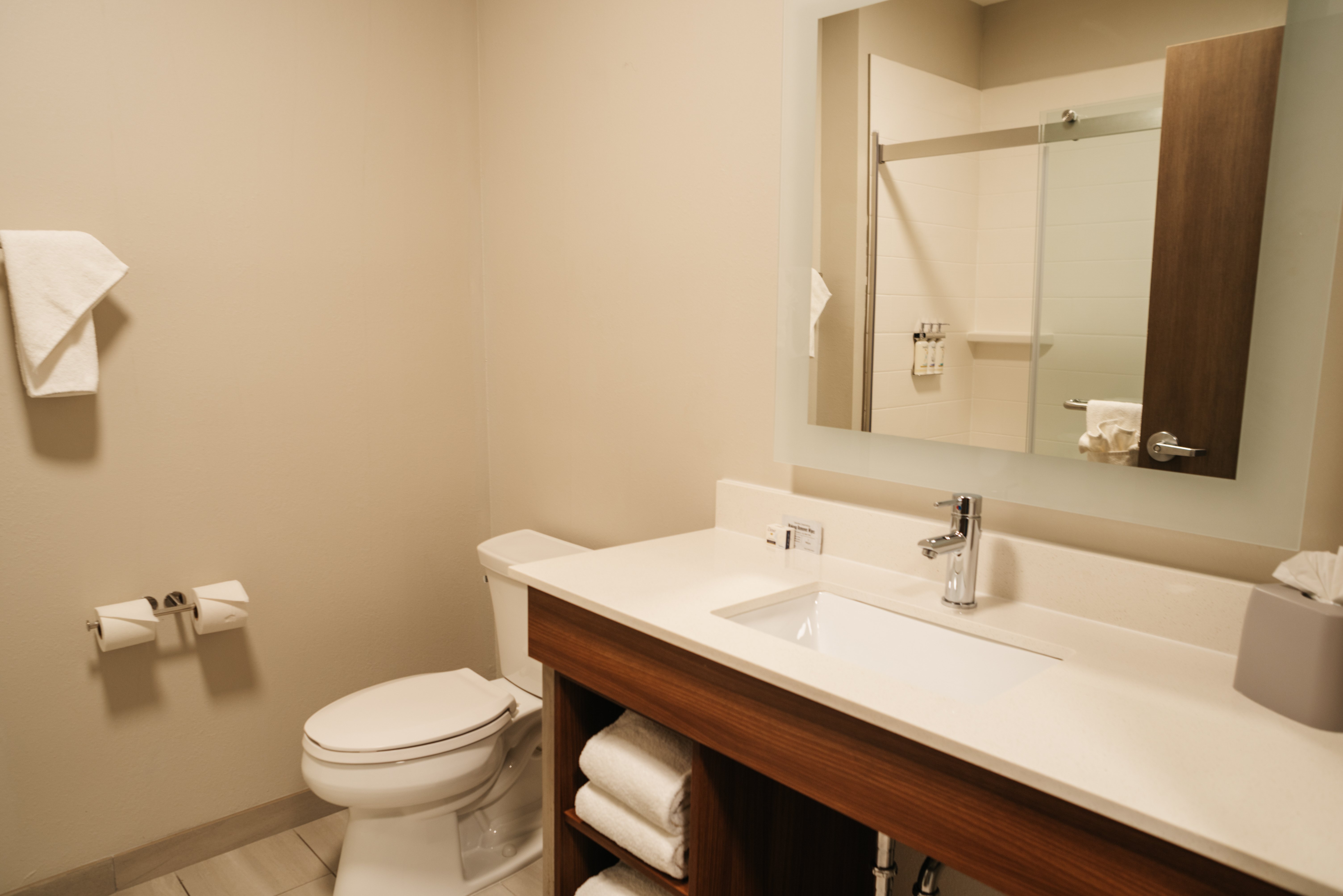 Holiday Inn Express & Suites McCalla - Birmingham West 55/58