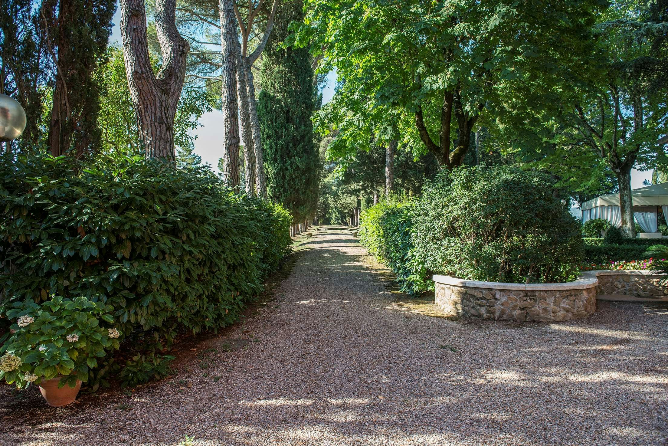 Il Patriarca 33/45
