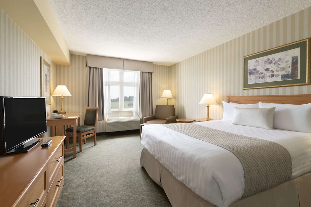Room, Queen Bed