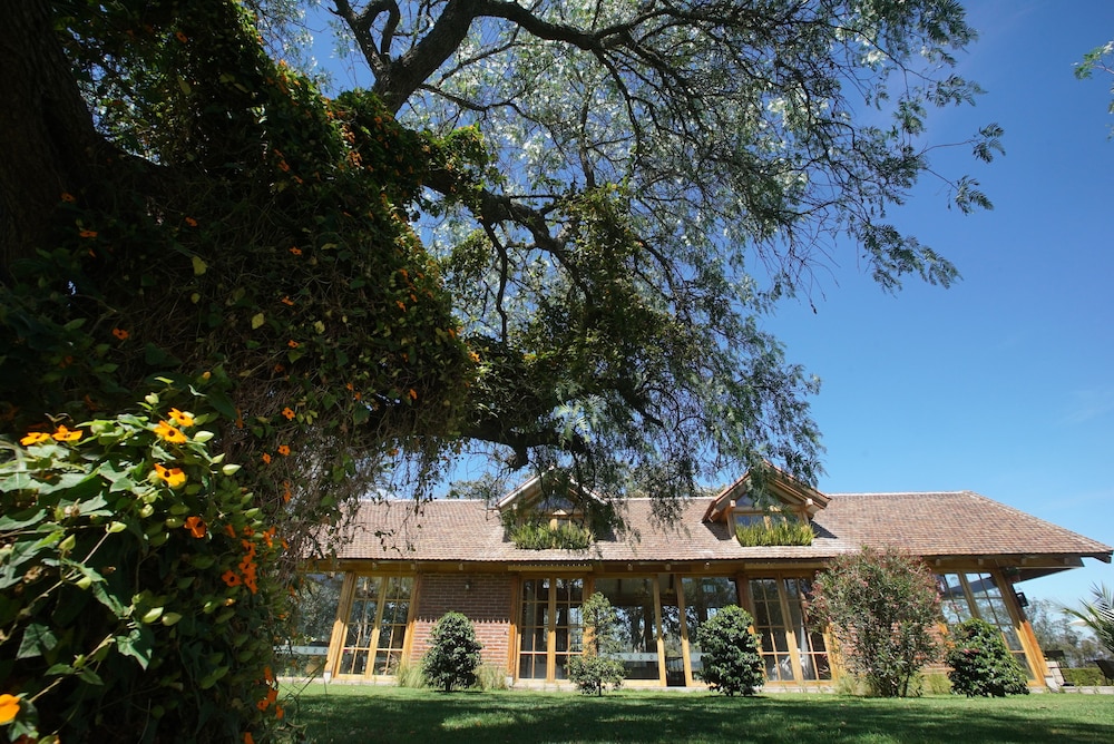 La Palma Polo Hotel 1/46