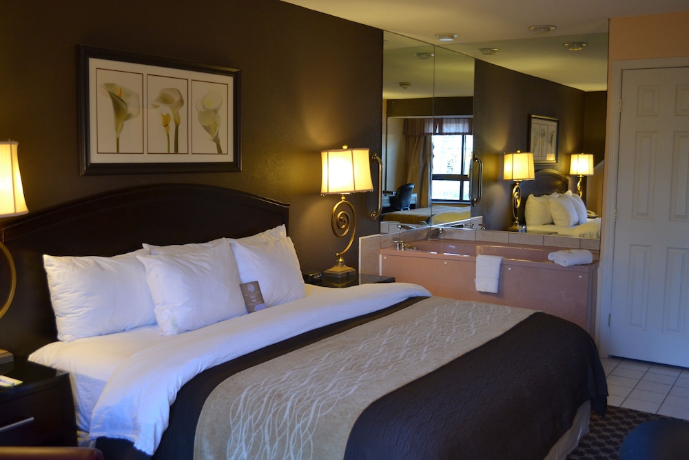 Quality Inn Ithaca - University Area 14/44