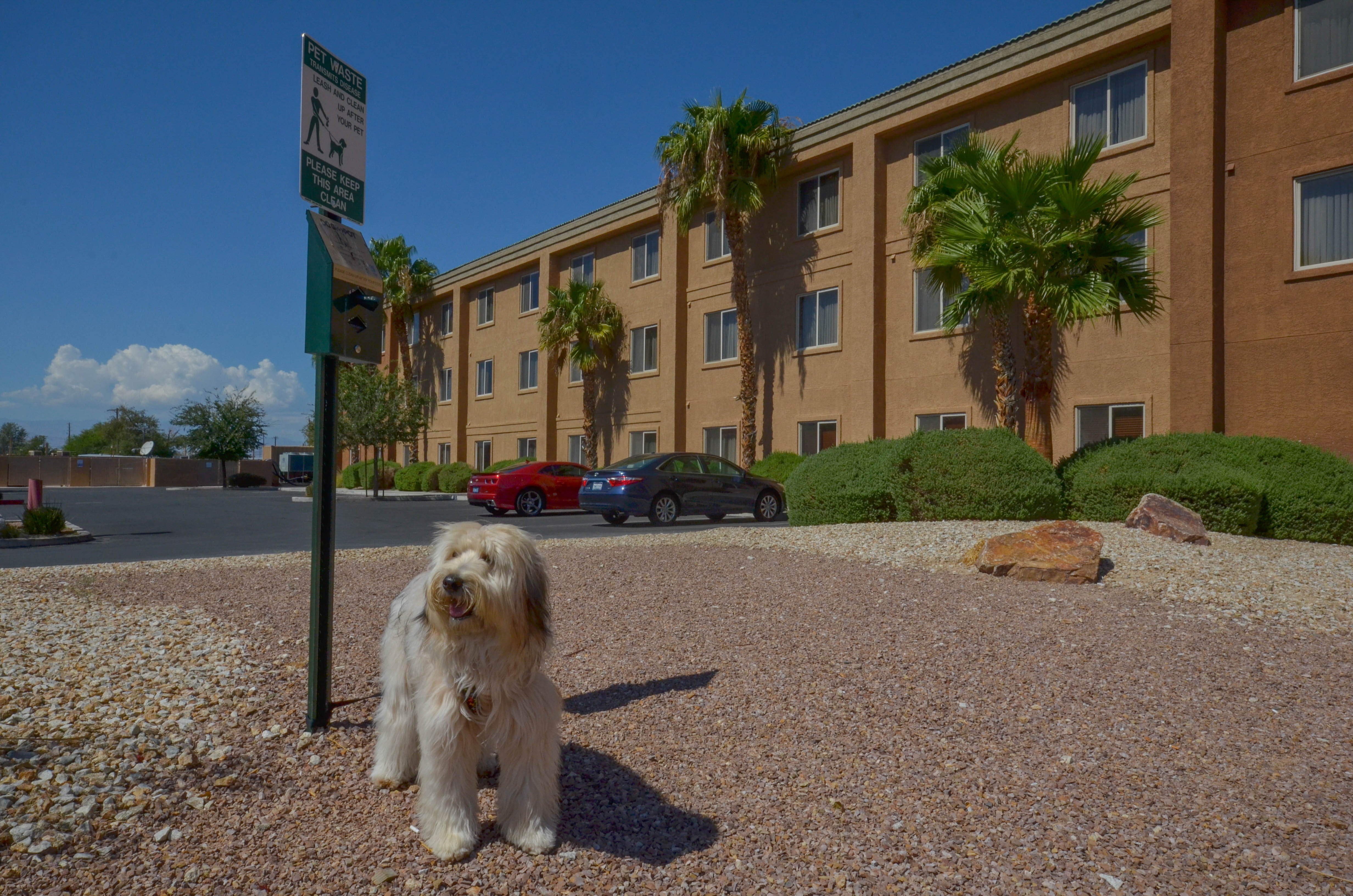 Holiday Inn Express Las Vegas-Nellis, an IHG Hotel 47/47